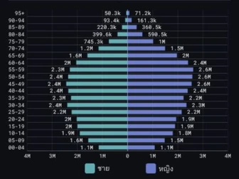 CityMETER population structure chart by age and sex
