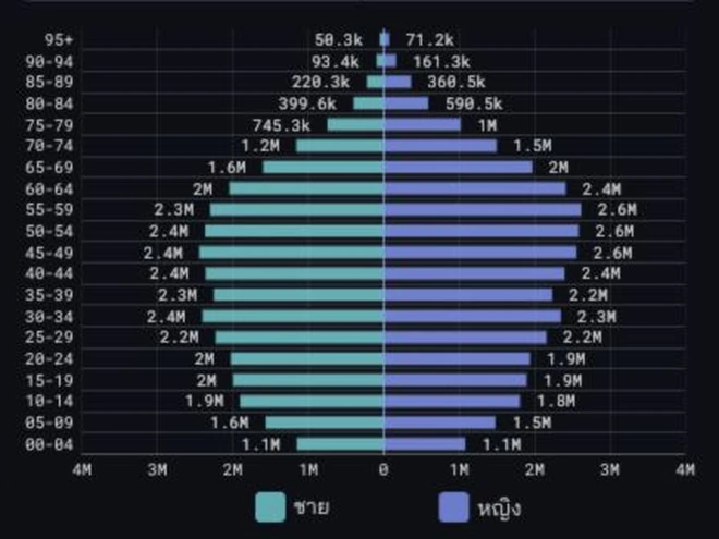 CityMETER population structure chart by age and sex